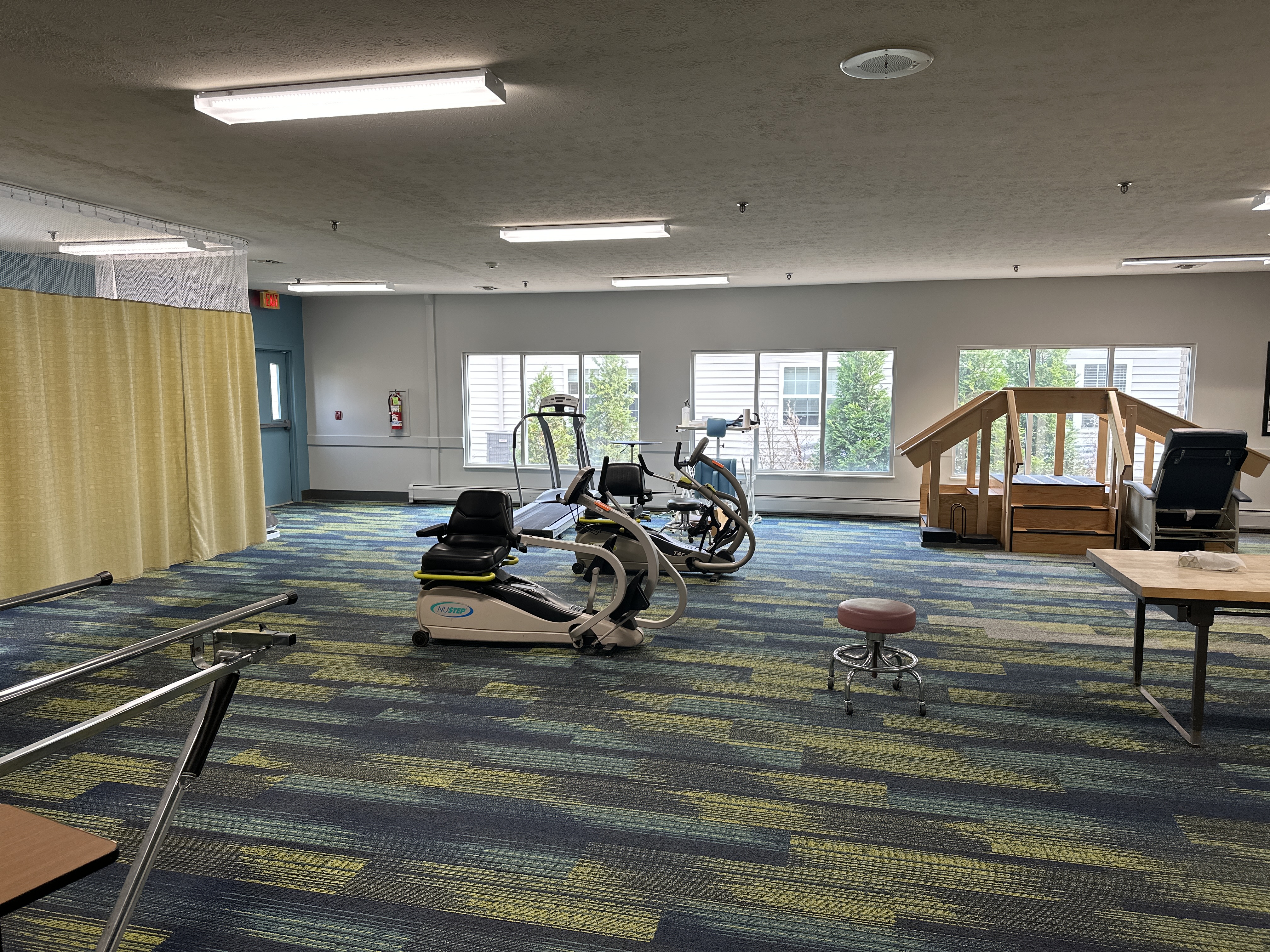 Rehabilitation services at Woodlands